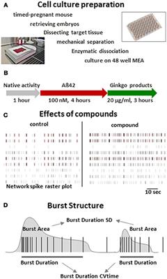 Ginkgo biloba L. (Ginkgoaceae) Leaf Extract Medications From Different Providers Exhibit Differential Functional Effects on Mouse Frontal Cortex Neuronal Networks